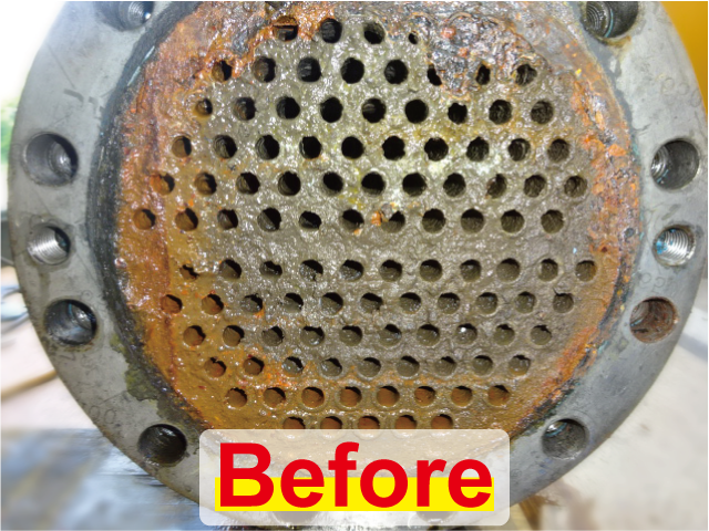 取り外し可能なスケールがガッツリ付着したプレート式熱交換器